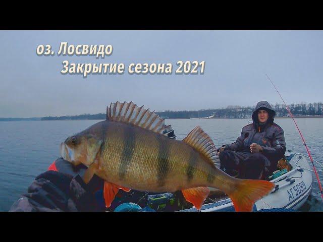 Лосвидо декабрь 2021 закрытие