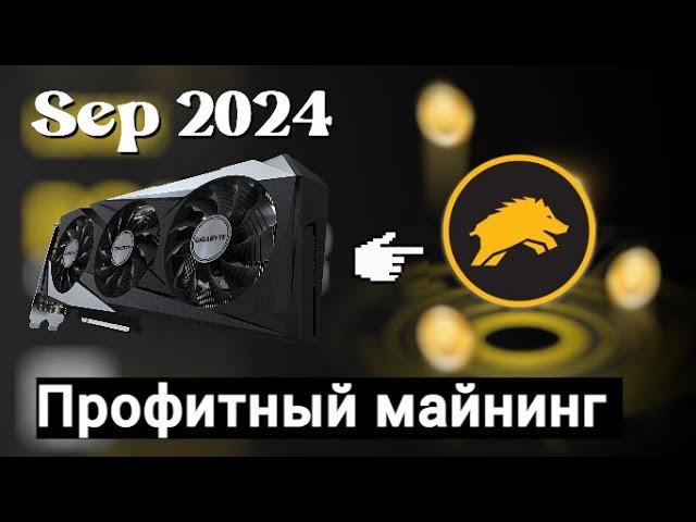 Что я майню в сентябре 2024? Монета WART, инструкция для Windows и Hive OS