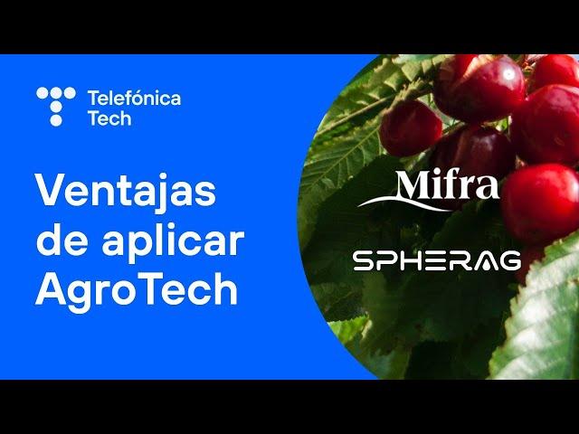 Mifra: a clear example of the advantages of TechAgro | Succes story | Telefónica Tech