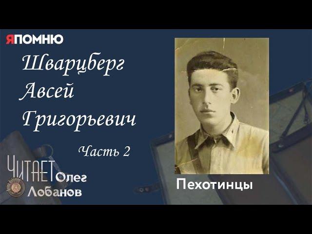 Шварцберг Авсей Григорьевич. Часть 2.  Проект "Я помню" Артема Драбкина. Пехотинцы.