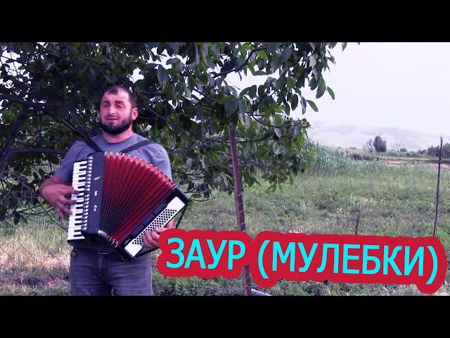 Заур Магомедов (Мулебки) 2020  Даргинская песня Dagestan song