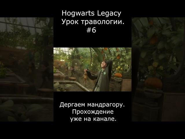 Прохождение Hogwarts Legacy часть 6 #shorts