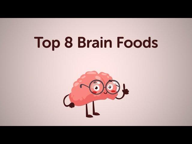 Top 8 Brain Foods