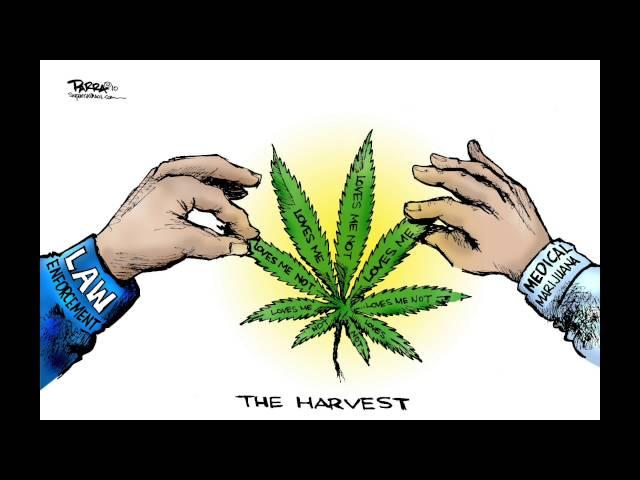 SWParra, Fresno Bee editorial cartoonist