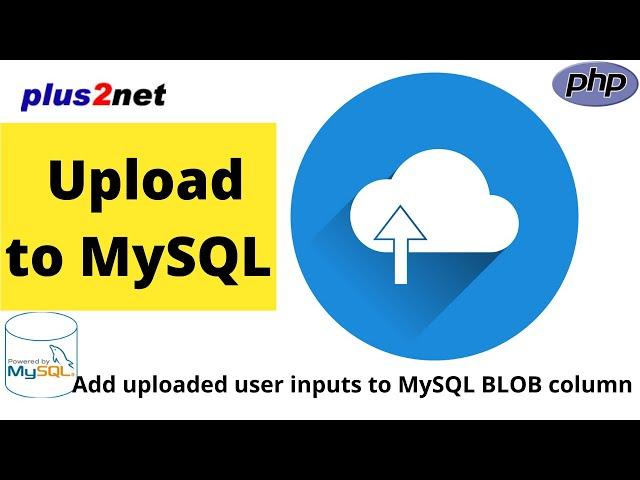 User upload binary data or image  to store in MySQL BLOB  data type column using PHP PDO