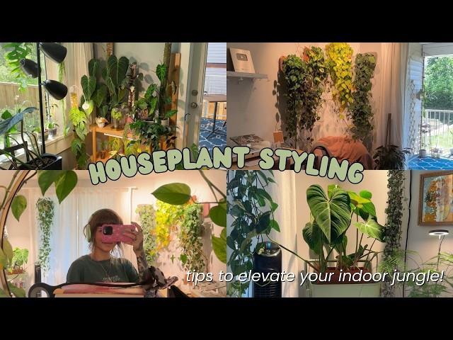 my fave ways to style houseplants  cozy indoor jungle vibes!