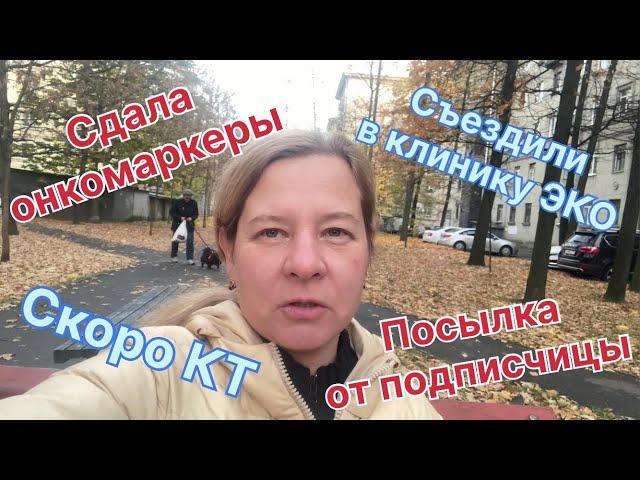 Сдала онкомаркеры. Скоро КТ. Навожу чистоту .Последний визит в клинику ЭКО. Посылка от подписчицы.