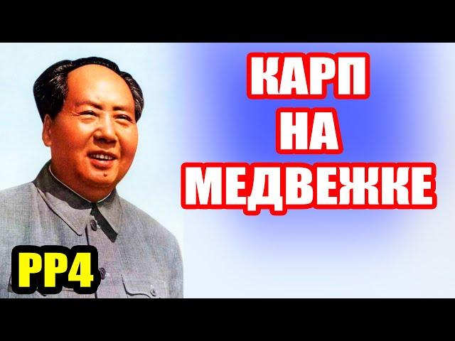 Где сейчас фарм на оз. МЕДВЕЖЬЕ? ● Русская Рыбалка 4 | РР4