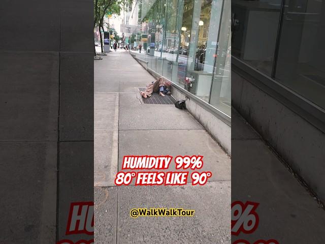 Smart homeless in NYC ..... !!!!    #walking4k #walkingtours  #nycwalking