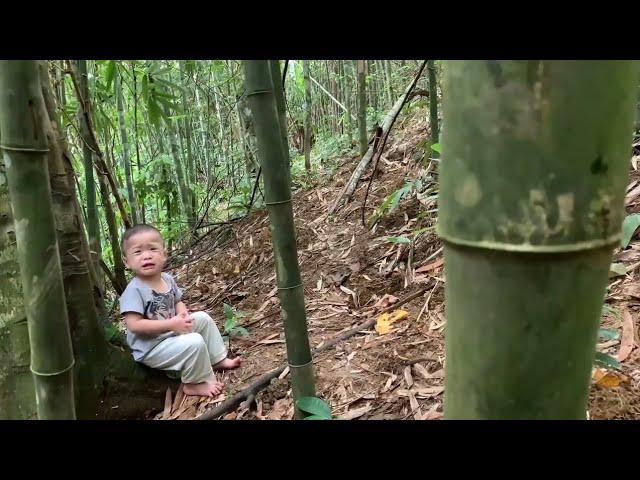 7 days: Careless single mother lost her 20-month-old child in the forest