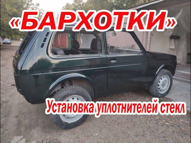 Бархотки на Ниву