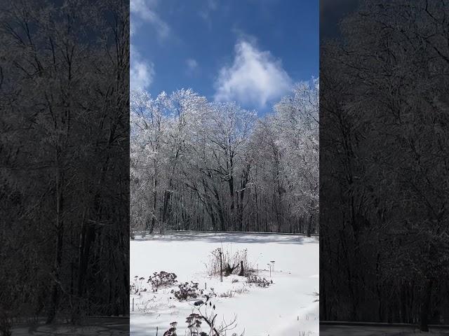 Ice melting after winter storm near Cedar Springs, Michigan