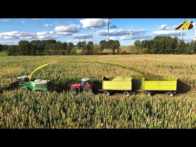 Großeinsatz Maishäckseln 2023 Maisernte Feldhäcksler & Traktoren Landwirtschaft farmer corn harvest