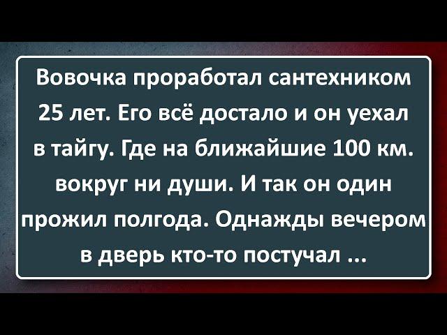 Сантехник Вовочка Уехал в Тайгу! Сборник Анекдотов Синего Предела №183