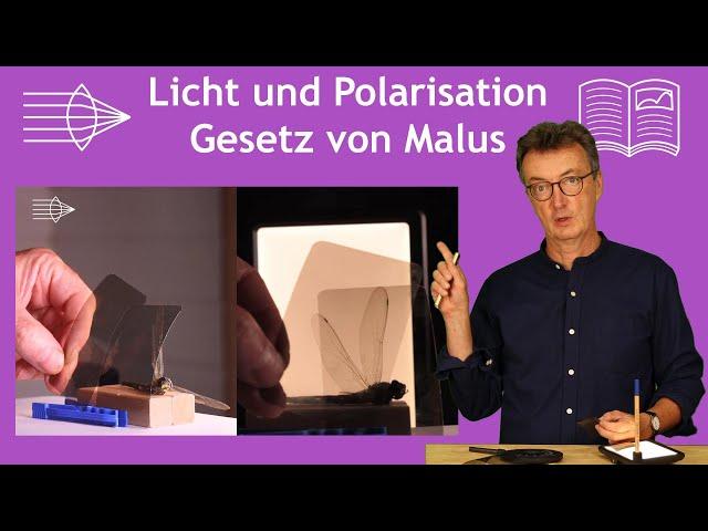 Transmission von linearen Polarisatoren, Gesetzt von Malus, Optik Vorlesung