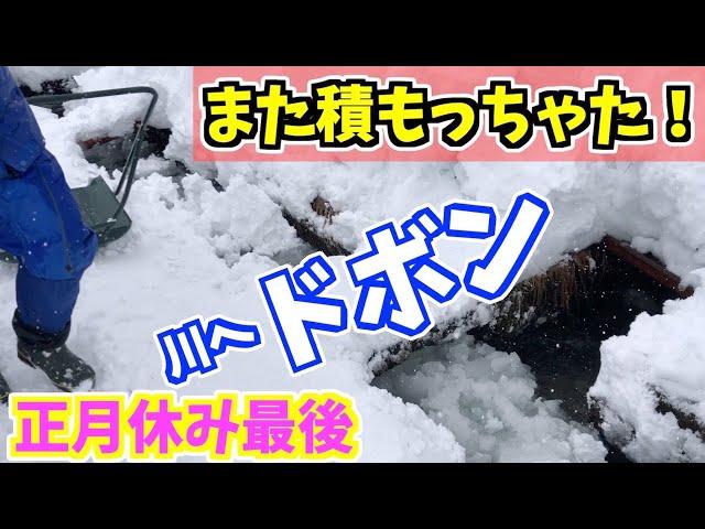 2023-01-04 大雪注意報でもういっぱいになったから川にドボンと本日２回目の駐車場のスノーダンプ除雪