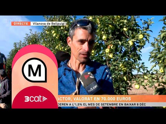 Li han robat el tractor i el remolc de pomes - Els Matins