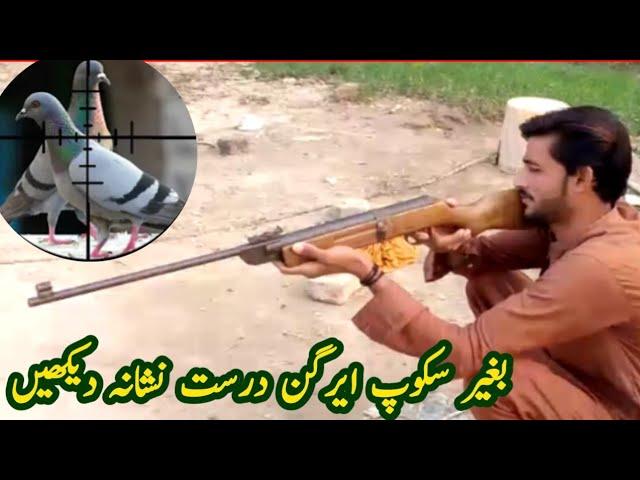 Air Gun hunting | air gun target shooting | The airgun show | air gun target hit very munda