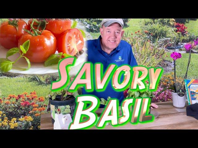 Ask Mr. Greenthumb Gardening Segments with Stan DeFreitas this week: The Savory Basil.