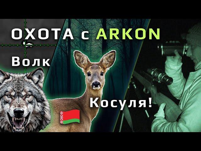 Охота на волка в Республике Беларусь. Добыли косулю.