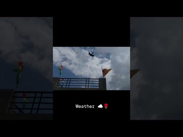 Weather Of UP ️ #weather #officialvinay07 #barish #viralvideo #trendingshorts #foryou #shorts