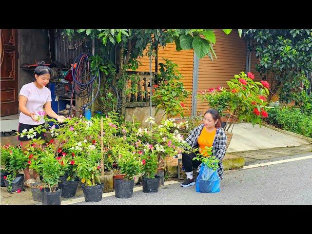 How to grow flowers and care for them on a small farm in the wild |pham phuong farm life in the wild