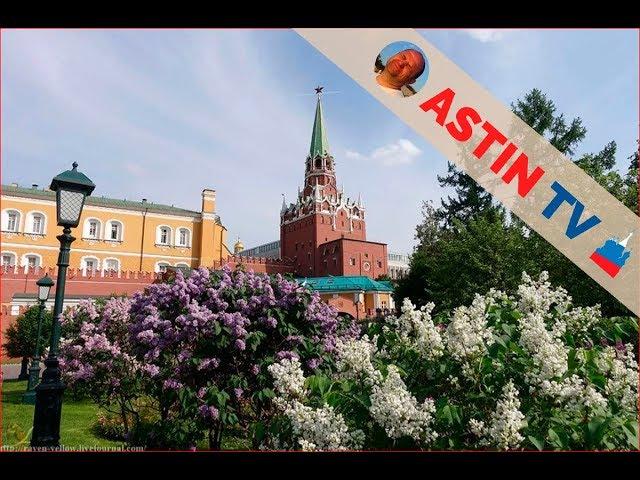 Alexander garden near the walls of the Kremlin. Great views.