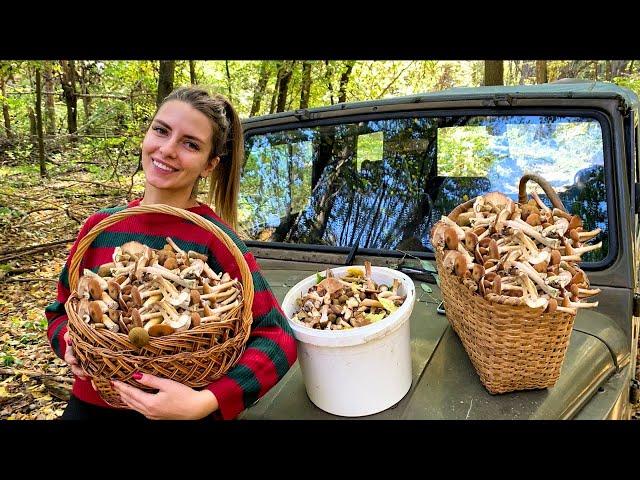 VILLAGE LIFE in UKRAINE | Mushrooms Picking