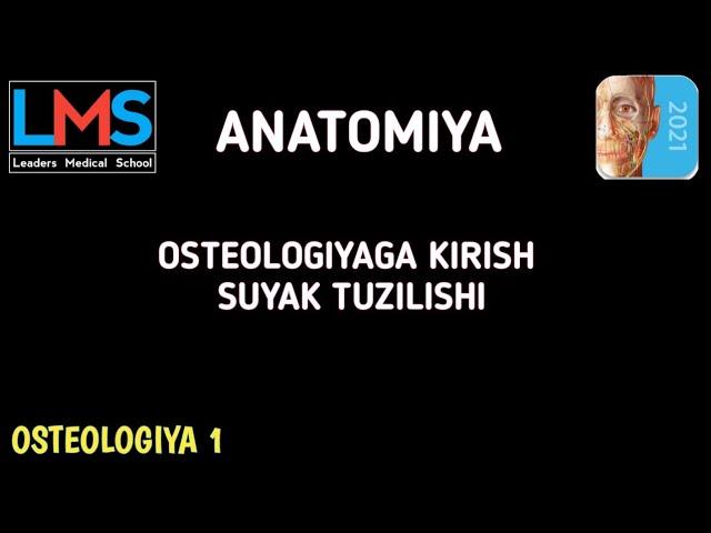 Osteologiyaga Kirish [] Suyak Tuzilishi