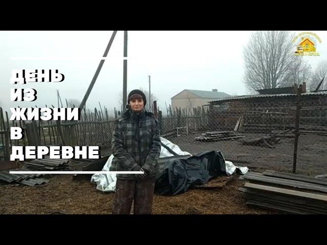 Один день из жизни в деревне. Хоздвор. Жена дальнобойщика.