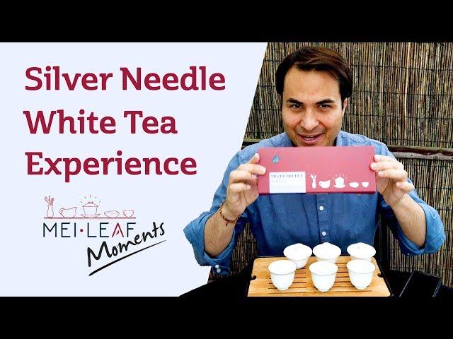 Silver Needle Experience - TASTING A FLIGHT OF WHITE TEA