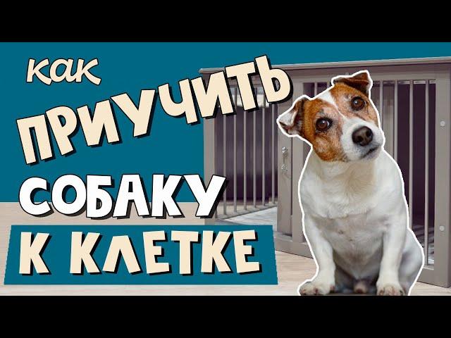 КАК ПРИУЧИТЬ СОБАКУ к КЛЕТКЕ/Ошибки приучения собаки к клетке/Как выбрать клетку для собаки