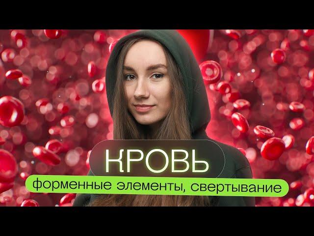 Кровь, форменные элементы, свертывание | Катя Грицай | Биология ЕГЭ