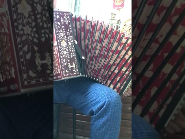 День Победы #гармонь #русскаямузыка #folkmusic #гармонист