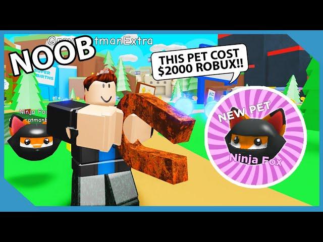 I Bought a ROBUX PET on my NOOB.. He Became A MILLIONAIRE! | Roblox Magnet Simulator