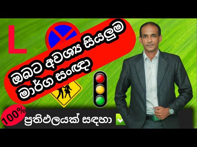 How To Learn Road Signals | Lesson 1 | 2023 | Sinhala | Technique Driving