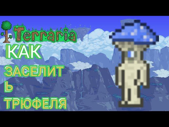 КАК ЗАСЕЛИТЬ ТРЮФЕЛЯ (NPC) ? ОТВЕТ ТУТ!!