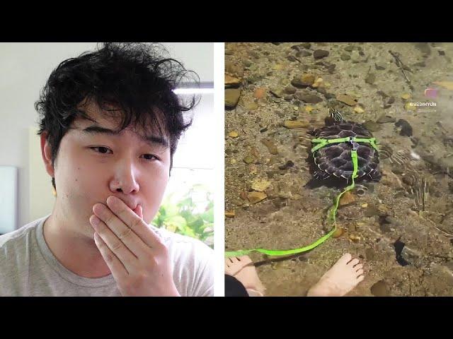 Petkeeping in Korea is DIFFERENT | Fish Tank Review 266