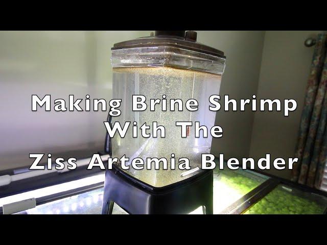 Making Brine Shrimp