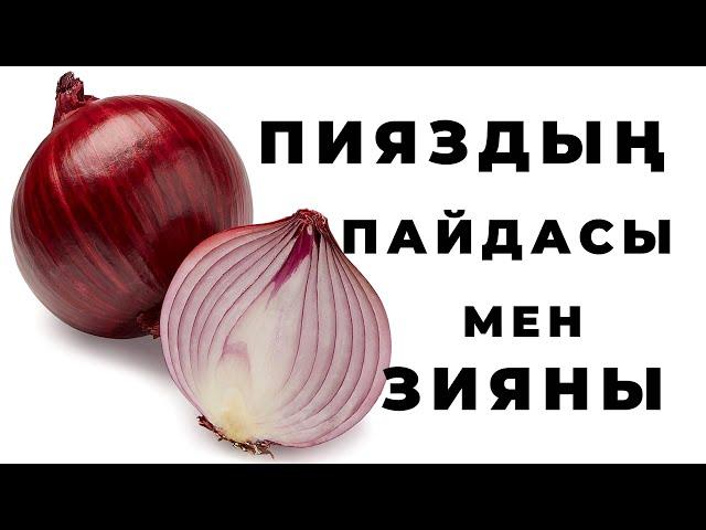 Пияздың денсаулыққа пайдасы мен зияны