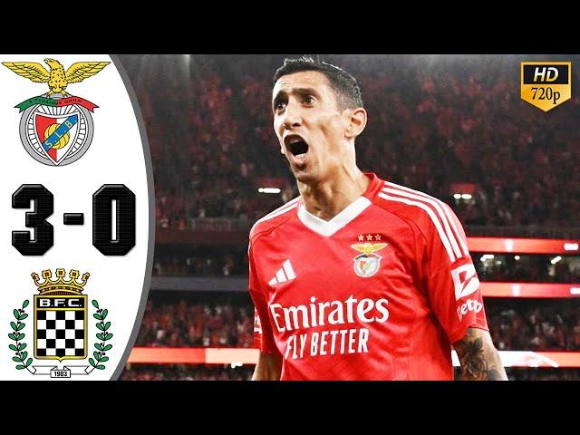 Benfica vs Boavista 3-0 Highlights & All Goals 2024 HD