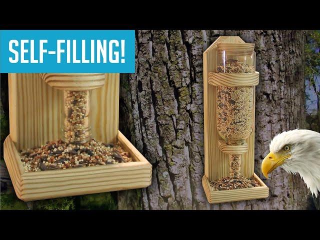 DIY Wine Bottle Bird Feeder