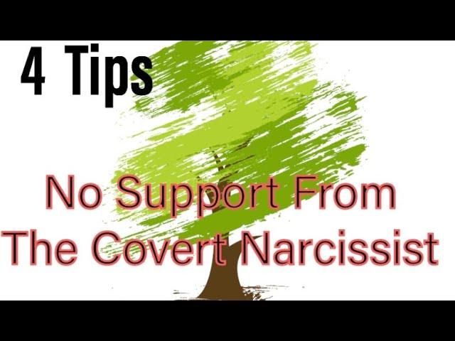 No Support , Child Support From The Covert Narcissist