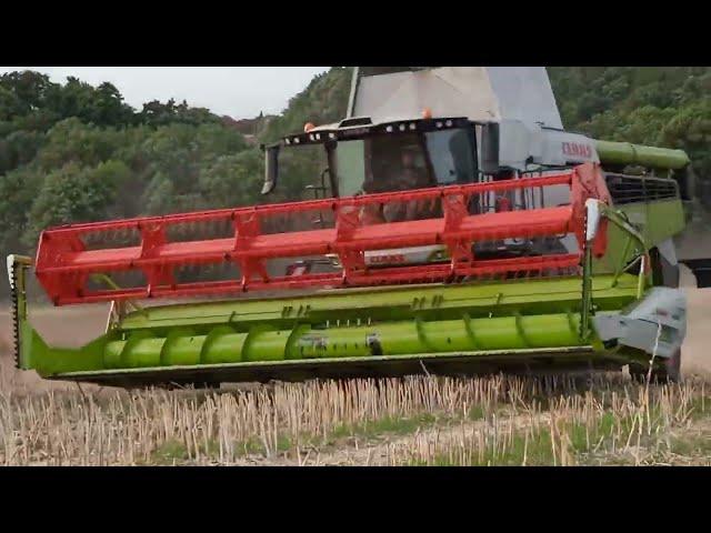 Claas lexion 6700+6600+660 #case  @Siri_Agro_Videos @Steposagro123