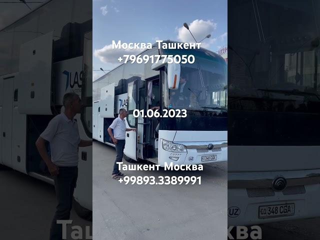 Москва Ташкент автобус #moskva #tashkent #avtobus #short #uzbekistan