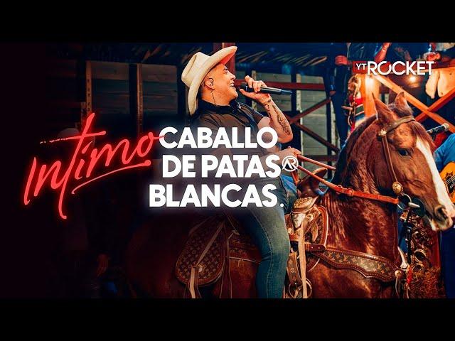 Alan Ramírez l Caballo De Patas Blancas (En Vivo)