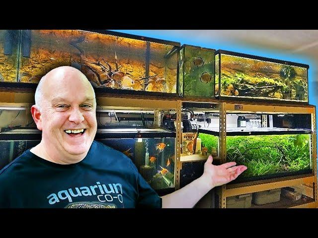 Private Tour With MASTER Fish Breeder