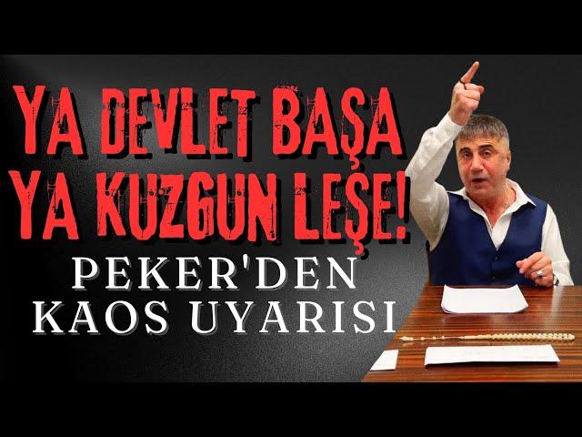 YA DEVLET BAŞA YA KUZGUN LEŞE! PEKER'DEN KAOS UYARISI