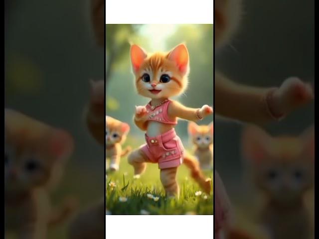 cute cat ka dance 