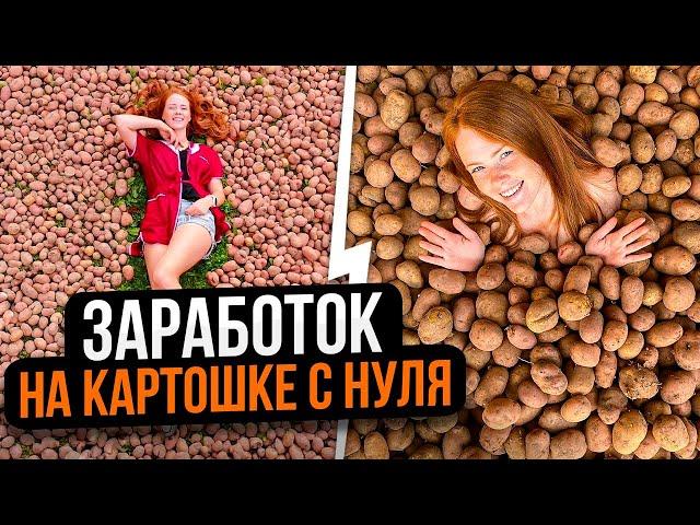 УБОРКА КАРТОФЕЛЯ 2023 | Как фермеры зарабатывают миллионы на картошке